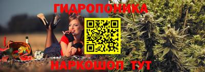 СК Пушкино