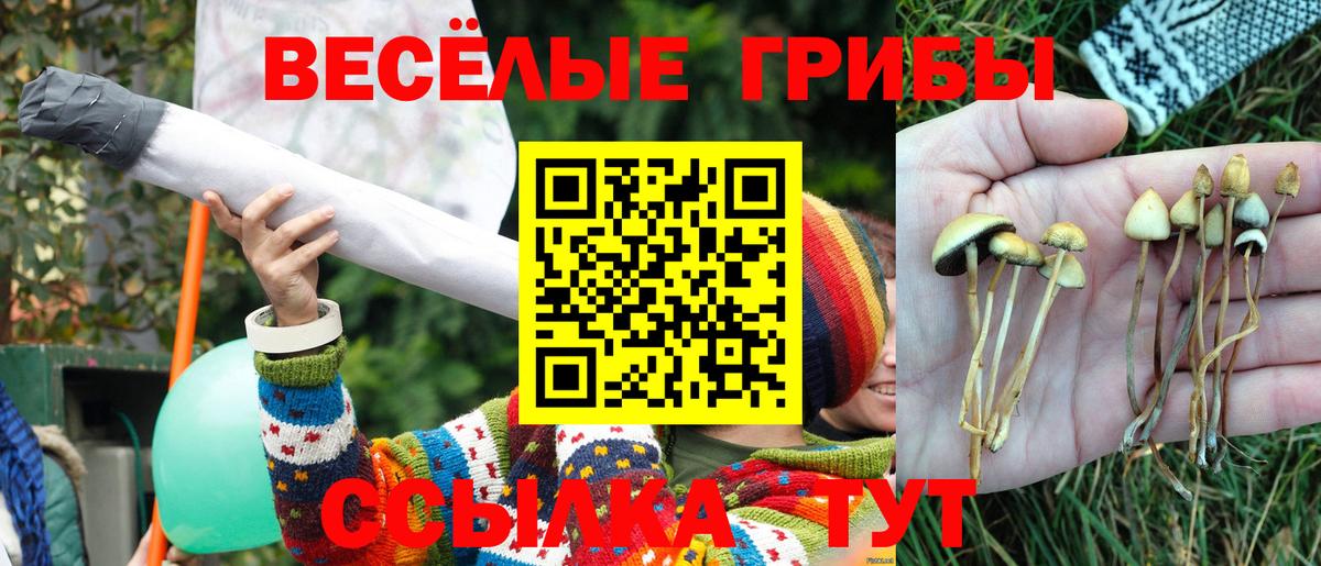 Строитель  Галлюциногенные грибы прущие грибы  Псилоцибиновые грибы Cubensis  Вход с VPN 